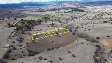 Ilgın Yukarıçiğilde 5.896 M2 Müstakil Tapulu Tarla