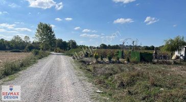 Remax Desıgn Kayrancık'da 2 Adet Müstakil Satılık Tarla