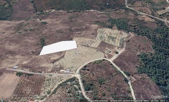 Geyve Melekşesolak Mahallesinde Hobi Bahçesine Uygun Bahçe