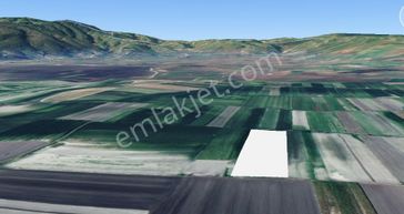 Sakarya Serdivan Yazlıkta Yükselen Bölgede 9600 M2 Arazi