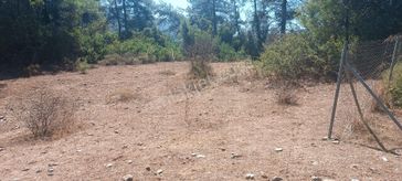 Özcan Emlaktan Satılık Arsa