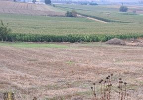 Şems Gayrimenkul'den Subaşı Köy Asfaltına Cepheli Soğuk Hava Deposu İmarlı Fırsat Arazi
