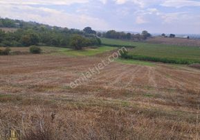 Şems Gayrimenkul'den Subaşı Köy Asfaltına Cepheli Soğuk Hava Deposu İmarlı Fırsat Arazi