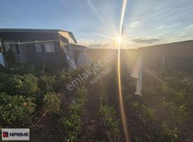 Nprime'dan Acil Satılık Temellide Hobi Bahçesi