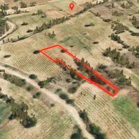 Gölpazarı Karaağaç'ta, Ekilir, Biçilir, 2604m2 Müstakil Parsel