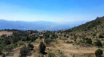 Fırsat Araziler Son 3 Adet Geyve Manzaralı