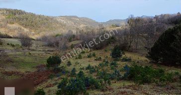 Hacıselli Köyünde Deniz Manzaralı 3 Dönüm