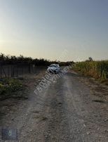 Doğancı'da Yola Cephe Telle Çevrilmiş Hazır Bahçe