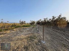 Doğancı'da Yola Cephe Telle Çevrilmiş Hazır Bahçe