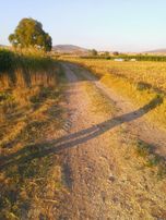 Sahibinden Satılık Tarla Yolu Suyu Var