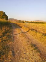 Sahibinden Satılık Tarla Yolu Suyu Var