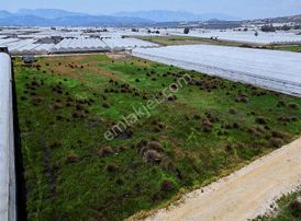 Kaş Çavdır Mh.9640 M2 Satılık Tarla.