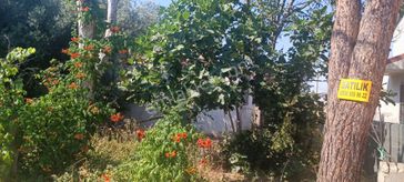 Sahibinden Tekirdağ-çorlu Yolu Üzerinde Denize Yakın Satılık Arsa