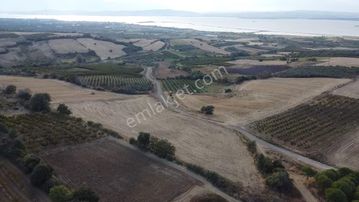 Çanakkale Çardak Kadastral Yolu Olan Satılık Tarla