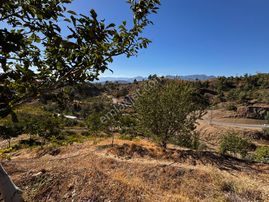 Cb'den Kürtül'de Tek Tapu (2.538 M2) Doğa Manzaralı Satılık Bahçe