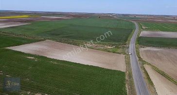 Tekirdağ Saray Kadıköy'de Caddeye Cephe 5.179 M2 Tek Tapu