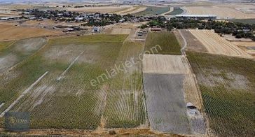 Saray Demirler Mahallesi İmar Sınırı İçin'de Tek Tapu 13.700m²