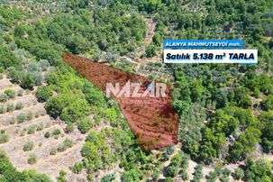Alanya Mahmutseydi'de 5.138 M² Satılık Tarla