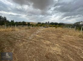 Satılık 1 Dönüm Kooperatif Hisseli Velihimmetli De Bahçe Tulum