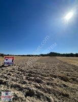 Frig Vadisi-emre Gölü-ana Cadde Döğer'de 3.100 M² Satılık Tarla