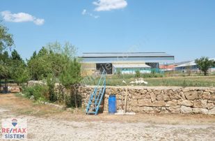 Afyon'da Ana Yola Yakın Hesaplı Kullanıma Hazır Satılık Çiftlik