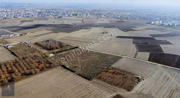 Kırklarelli Merkez Karakaş Mh Satılık 3632m2 Tek Tapu Bahçe