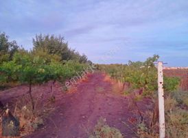 Kırklarelli Merkez Karakaş Mh Satılık 3632m2 Tek Tapu Bahçe