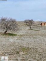 Köye Yakın Tarla..