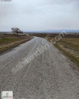 Köye Yakın Tarla..