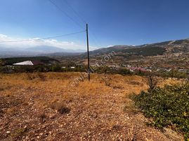 Cb'den Dereli'de Tek Tapu (3.228m2) Merkeze Yakın Satılık Bahçe