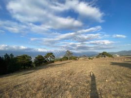 Geyve Demirlerde Muhteşem Manzaralı 7054m2 Tarla