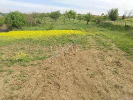 Bilecik Söğüt Dereboyu Köye İlçeye Çok Yakın Kadastro Yol Su