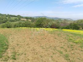 Bilecik Söğüt Dereboyu Köye İlçeye Çok Yakın Kadastro Yol Su