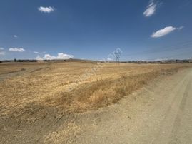 Gölbaşı Bezirhane'de Toki Projesine Yakın Bölgede Satılık Tarla