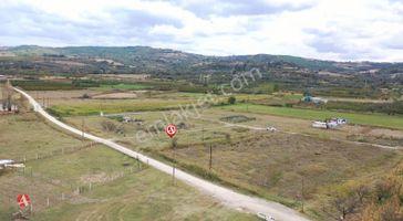 Çanakkale, Lapseki, Çardak, Denize Yakın İmarlı Müstakil Arsalar