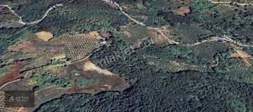 Geyve Alıplar'da Satılık 2 Adet Parsel 9876m2