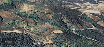 Geyve Alıplar'da Satılık 2 Adet Parsel 9876m2