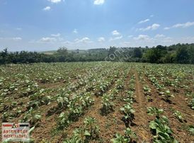 İmamlarda Yatırıma Uygun 1.330 M2 Satılık Havadar Konum Tarla