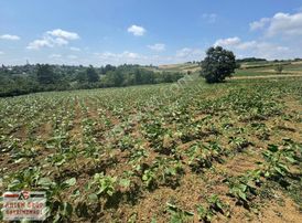 İmamlarda Yatırıma Uygun 1.330 M2 Satılık Havadar Konum Tarla