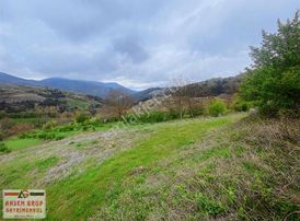 Sakarya Geyve Alıplar Mah. 1859 M² Satılık Arsa