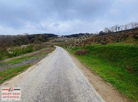 Sakarya Geyve Alıplar Mah. 1859 M² Satılık Arsa