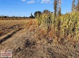 Afyon Sülümenli Merkezine Çok Yakın 3.654 M2 Satılık Bahçe