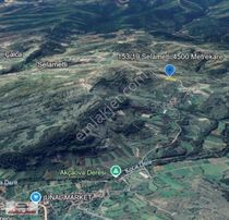 Kandıra Selametli'de Ana Yol Cepheli, 4.507 M² Yatırımlık Tarla!