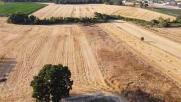 Alp Yapı Emlaktan Gönen Gökçesu Osmanpazar Mh.satılık Tarla