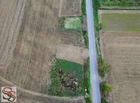 Adapazarı Çökeklerde Cadde Üzeri Etrafı Çevirili 352 M² Tarla