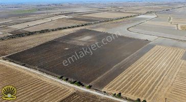 Ceyhanda E 5 Yakın Tek Tapu Tarla