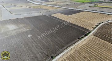 Ceyhanda E 5 Yakın Tek Tapu Tarla