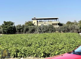 Aydın 'dan 42 Dönüm Yatırımlık Tarla