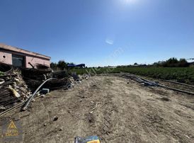 Aydın 'dan 42 Dönüm Yatırımlık Tarla