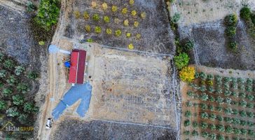 Mükemmel Bir Yaşam Arayanlara